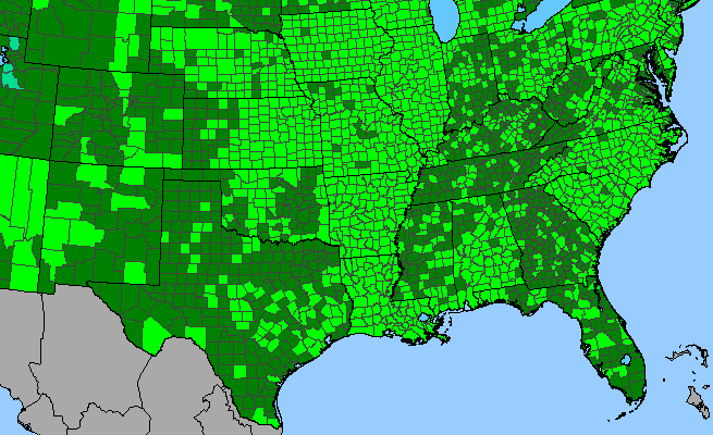 The range of Oxalis dillenii